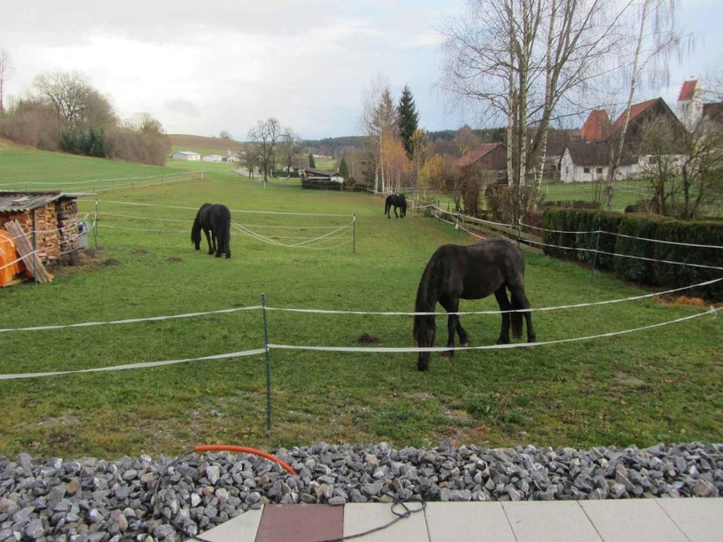 Ferienwohnung Am Weinberg Ostrach Exterior photo